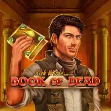 Enjoy Book of Dead by Play'n GO – logo hosted on monstercasinobelgium.com
